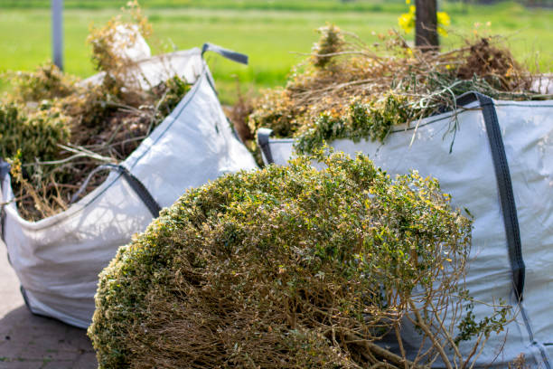 Best Construction Debris Removal  in Brodheadsville, PA